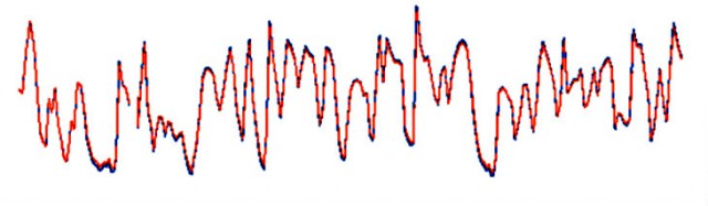 Zwei Herzen schlagen in einer Brust
